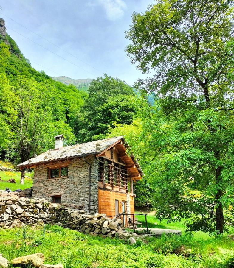 Villa Baita Del Noce Mollia Exterior foto